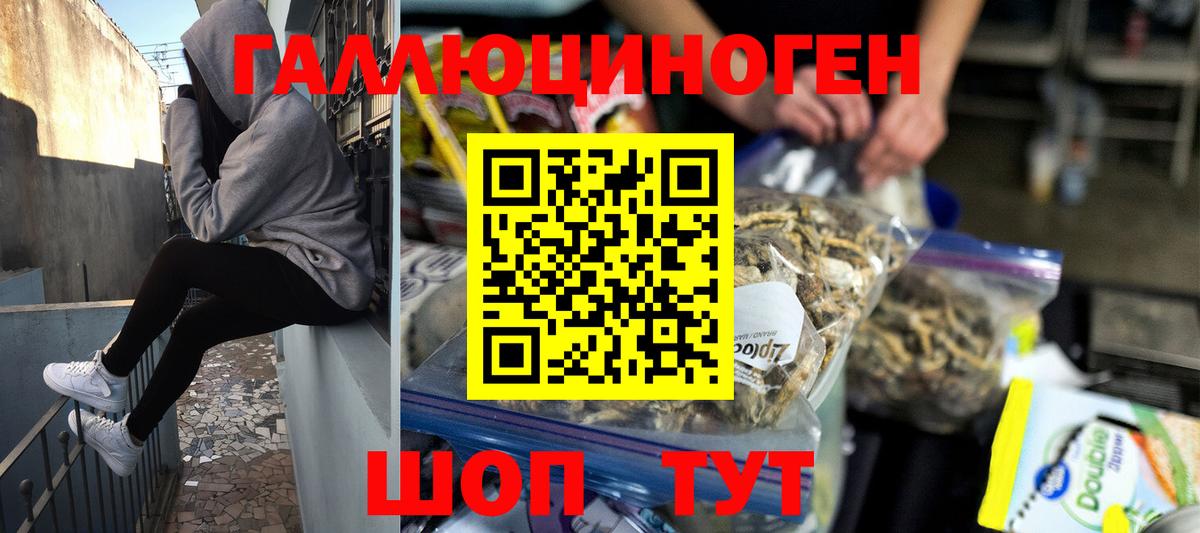 Сегежа  купить закладку  Вход с VPN  Галлюциногенные грибы мухоморы 