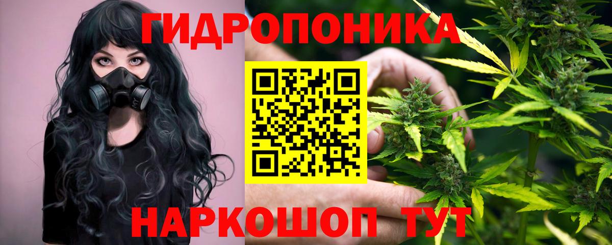 Бошки марихуана Amnesia  Бошки марихуана Amnesia  Вход с VPN  Сегежа 